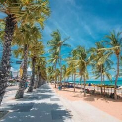 Bangkok pataya tour thailand 3